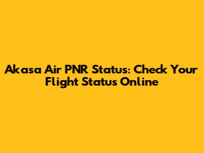 Akasa Air PNR Status: Check Your Flight Status Online