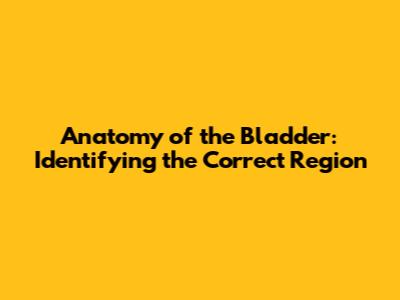 Anatomy of the Bladder: Identifying the Correct Region