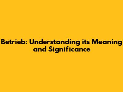 Betrieb: Understanding its Meaning and Significance