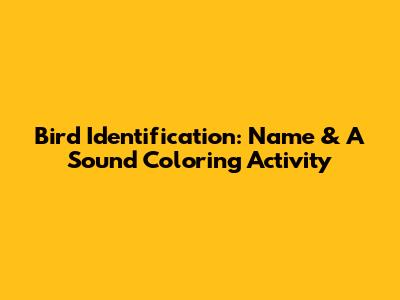Bird Identification: Name & 'A' Sound Coloring Activity