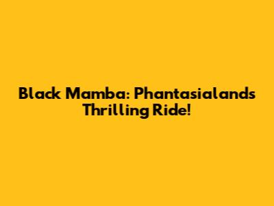 Black Mamba: Phantasialand's Thrilling Ride!