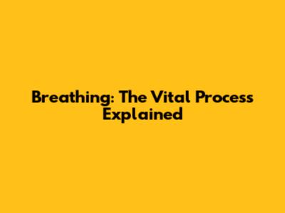 Breathing: The Vital Process Explained
