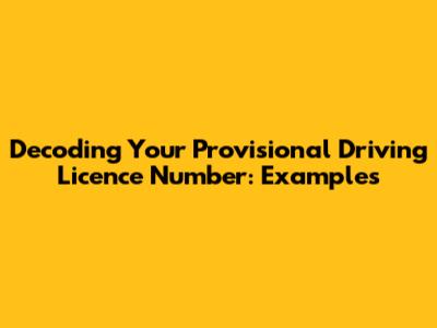 Decoding Your Provisional Driving Licence Number: Examples