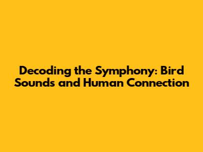 Decoding the Symphony: Bird Sounds and Human Connection