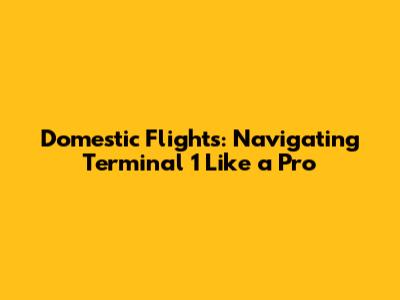 Domestic Flights: Navigating Terminal 1 Like a Pro