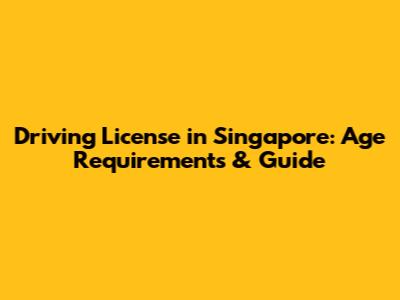 Driving License in Singapore: Age Requirements & Guide