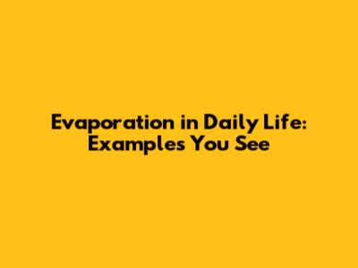 Evaporation in Daily Life: Examples You See
