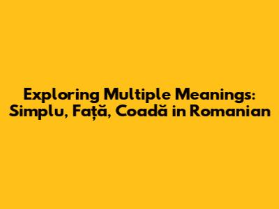 Exploring Multiple Meanings: *Simplu, Față, Coadă* in Romanian