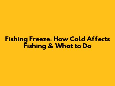 Fishing Freeze: How Cold Affects Fishing & What to Do