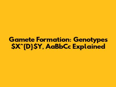 Gamete Formation: Genotypes $X^{D}$Y, AaBbCc Explained