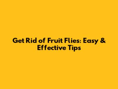 Get Rid of Fruit Flies: Easy & Effective Tips