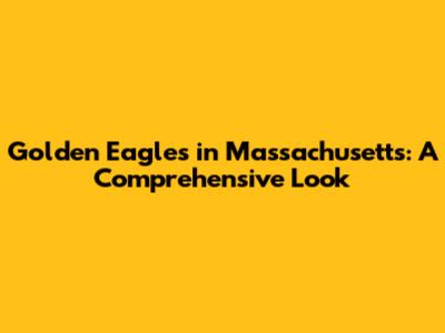 Golden Eagles in Massachusetts: A Comprehensive Look