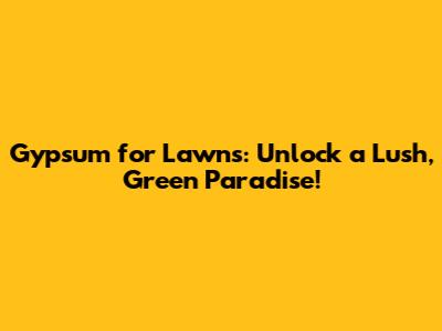 Gypsum for Lawns: Unlock a Lush, Green Paradise!