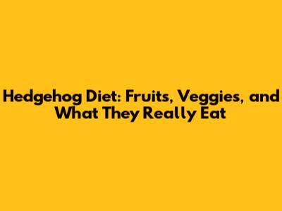 Hedgehog Diet: Fruits, Veggies, and What They Really Eat