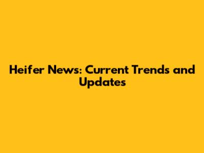 Heifer News: Current Trends and Updates