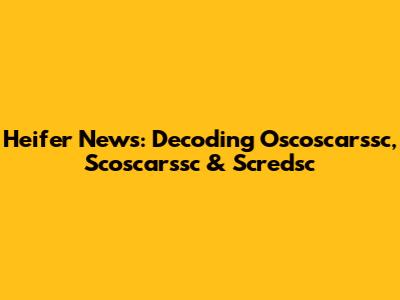 Heifer News: Decoding Oscoscarssc, Scoscarssc & Scredsc