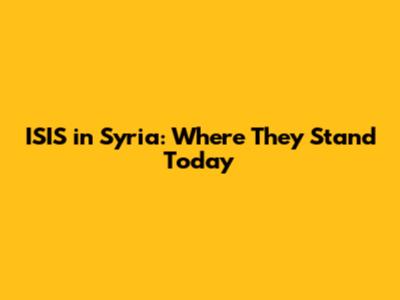 ISIS in Syria: Where They Stand Today