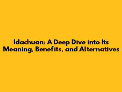 Idachuan: A Deep Dive into Its Meaning, Benefits, and Alternatives