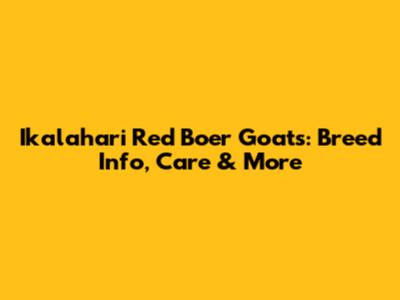 Ikalahari Red Boer Goats: Breed Info, Care & More