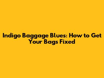 Indigo Baggage Blues: How to Get Your Bags Fixed