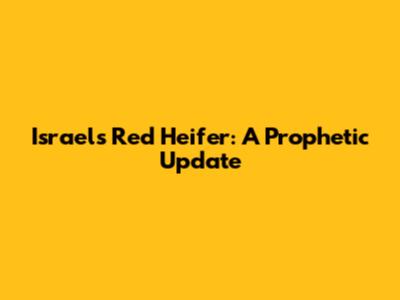 Israel's Red Heifer: A Prophetic Update