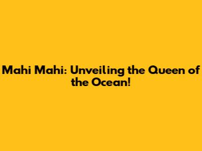 Mahi Mahi: Unveiling the Queen of the Ocean!