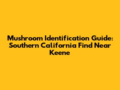 Mushroom Identification Guide: Southern California Find Near Keene