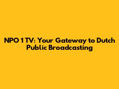 NPO 1 TV: Your Gateway to Dutch Public Broadcasting