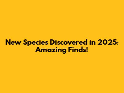 New Species Discovered in 2025: Amazing Finds!