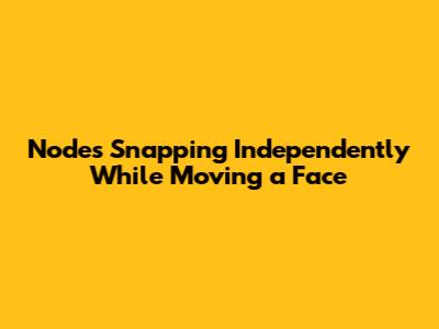Nodes Snapping Independently While Moving a Face