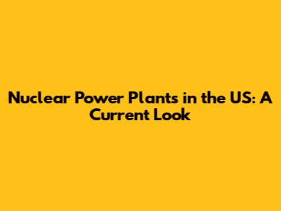Nuclear Power Plants in the US: A Current Look