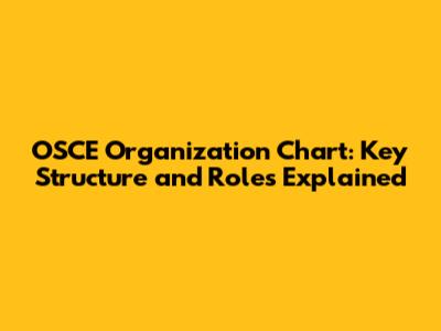 OSCE Organization Chart: Key Structure and Roles Explained