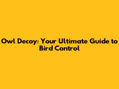 Owl Decoy: Your Ultimate Guide to Bird Control