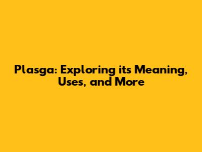 Plasga: Exploring its Meaning, Uses, and More