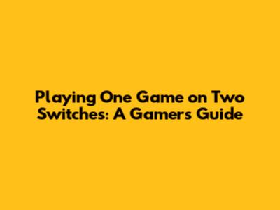 Playing One Game on Two Switches: A Gamer's Guide