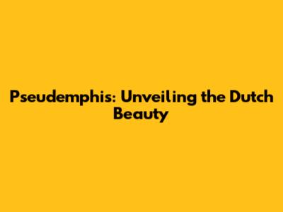 Pseudemphis: Unveiling the Dutch Beauty