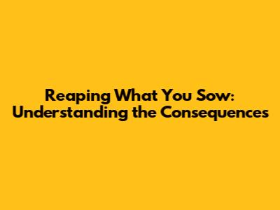 Reaping What You Sow: Understanding the Consequences