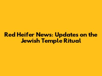 Red Heifer News: Updates on the Jewish Temple Ritual