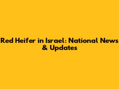 Red Heifer in Israel: National News & Updates
