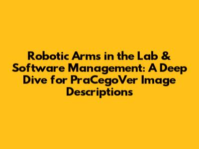 Robotic Arms in the Lab & Software Management: A Deep Dive for PraCegoVer Image Descriptions