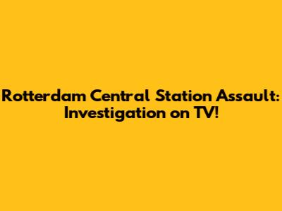 Rotterdam Central Station Assault: Investigation on TV!