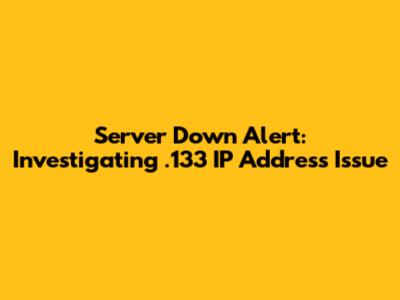 Server Down Alert: Investigating .133 IP Address Issue
