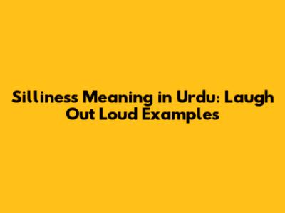 Silliness Meaning in Urdu: Laugh Out Loud Examples