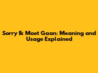 Sorry Ik Moet Gaan: Meaning and Usage Explained