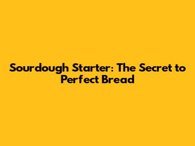 Sourdough Starter: The Secret to Perfect Bread