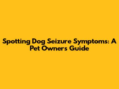 Spotting Dog Seizure Symptoms: A Pet Owner's Guide