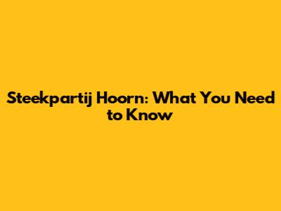 Steekpartij Hoorn: What You Need to Know