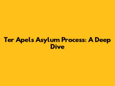 Ter Apel's Asylum Process: A Deep Dive