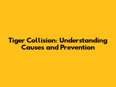 Tiger Collision: Understanding Causes and Prevention
