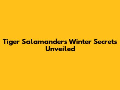 Tiger Salamanders' Winter Secrets Unveiled